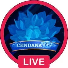 cendana777 Terbaru: Download APK Resmi dan Aman dan rvip3: Rangkuman Brand yang Banyak Dicari
